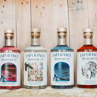 Our 6 Gins.